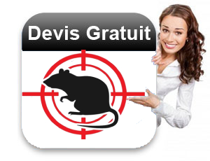 Devis gratuit de dératisation à Rabat Maroc
